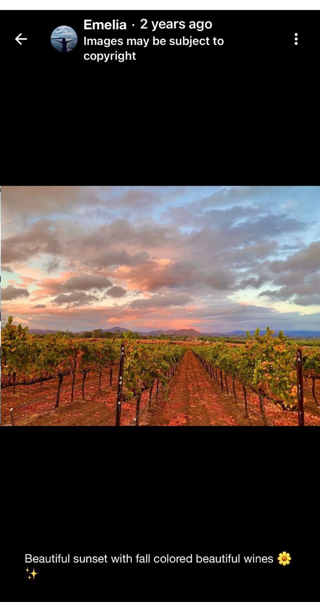 Balloons And Wine Murrieta Exterior photo